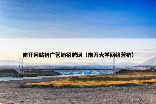 南开网站推广营销招聘网（南开大学网络营销）
