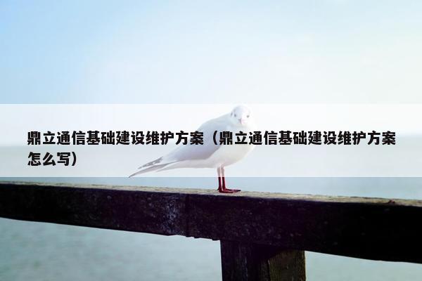 鼎立通信基础建设维护方案（鼎立通信基础建设维护方案怎么写）