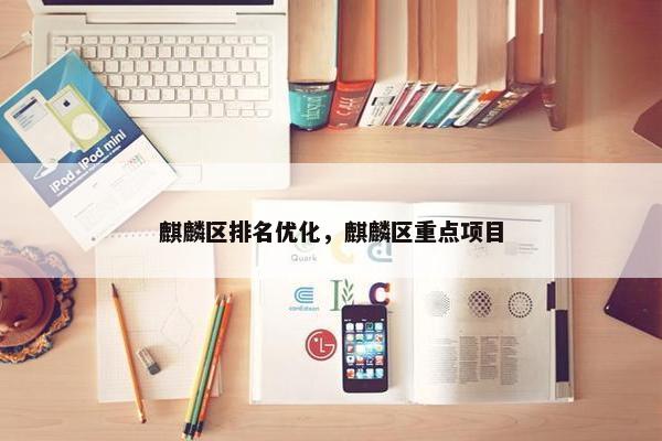 麒麟区排名优化，麒麟区重点项目