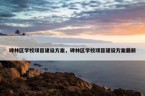 碑林区学校项目建设方案，碑林区学校项目建设方案最新