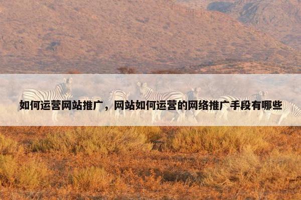 如何运营网站推广，网站如何运营的网络推广手段有哪些