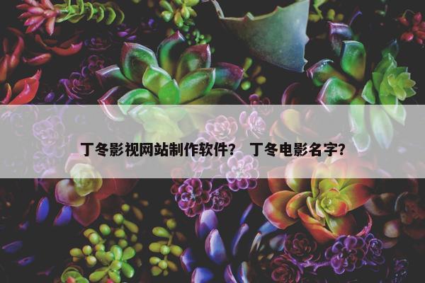 丁冬影视网站制作软件？ 丁冬电影名字？