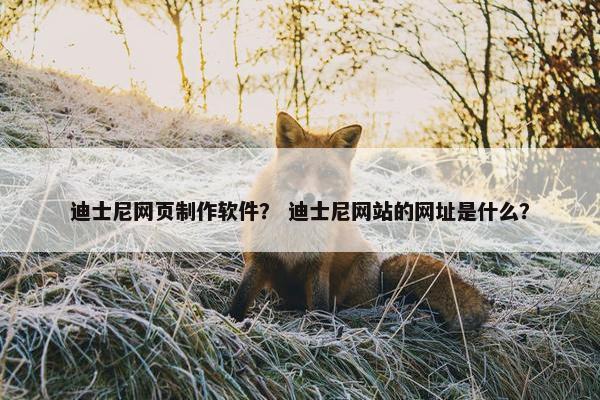 迪士尼网页制作软件？ 迪士尼网站的网址是什么？