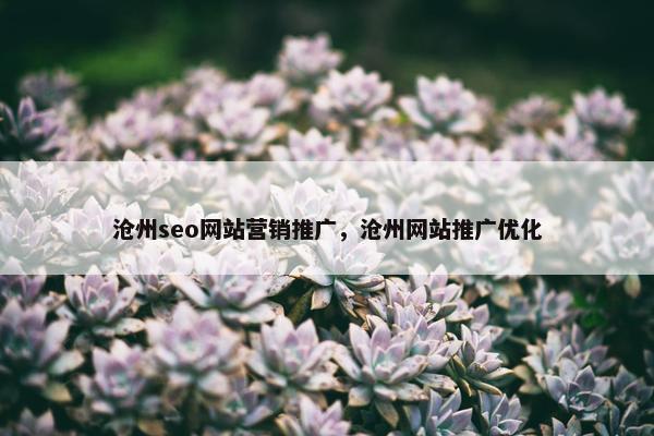沧州seo网站营销推广，沧州网站推广优化