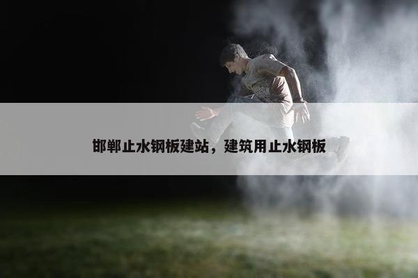 邯郸止水钢板建站，建筑用止水钢板