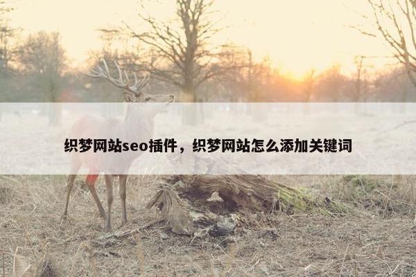织梦网站seo插件，织梦网站怎么添加关键词