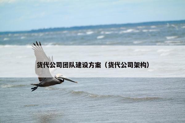 货代公司团队建设方案（货代公司架构）