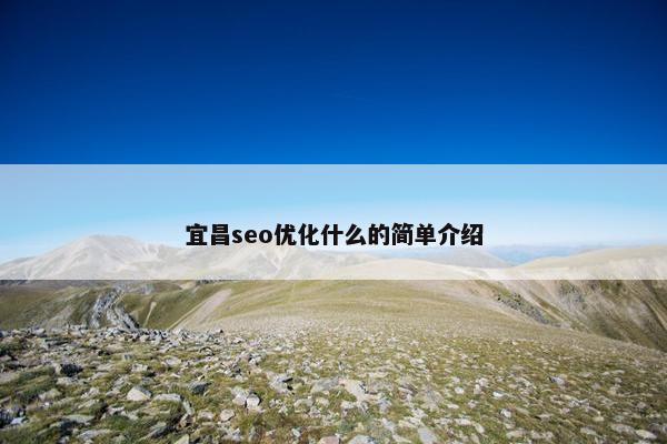 宜昌seo优化什么的简单介绍