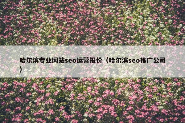哈尔滨专业网站seo运营报价（哈尔滨seo推广公司）