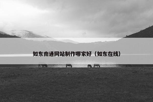 如东南通网站制作哪家好（如东在线）