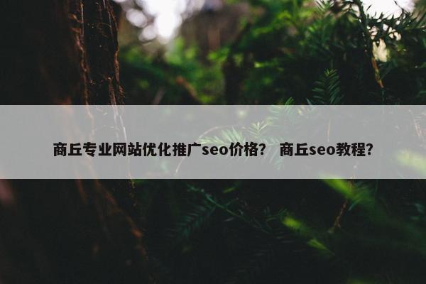 商丘专业网站优化推广seo价格？ 商丘seo教程？