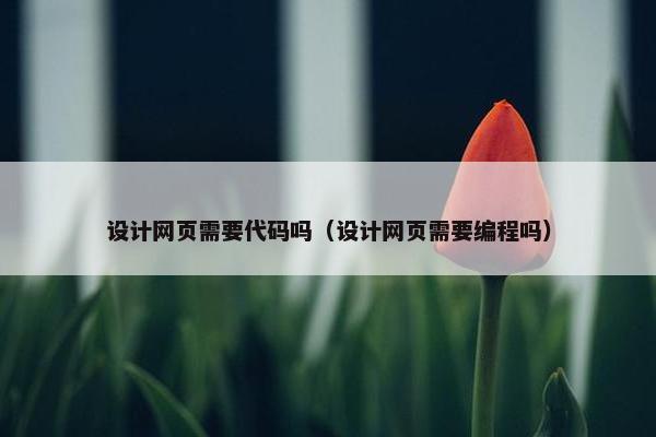 设计网页需要代码吗（设计网页需要编程吗）