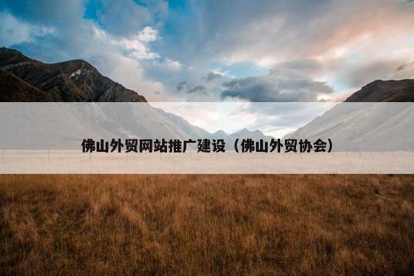 佛山外贸网站推广建设（佛山外贸协会）