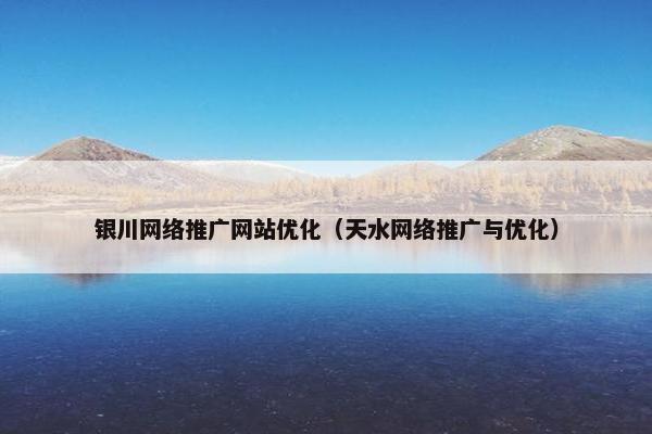 银川网络推广网站优化（天水网络推广与优化）