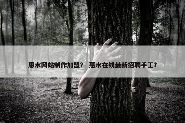 惠水网站制作加盟？ 惠水在线最新招聘手工？