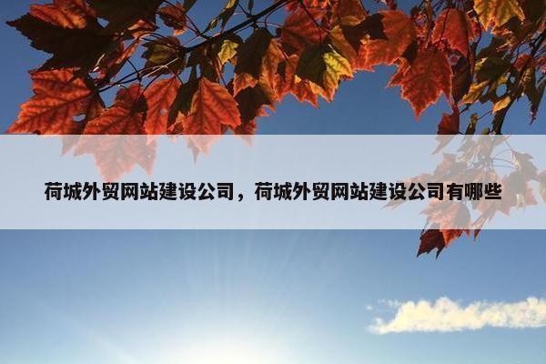 荷城外贸网站建设公司，荷城外贸网站建设公司有哪些