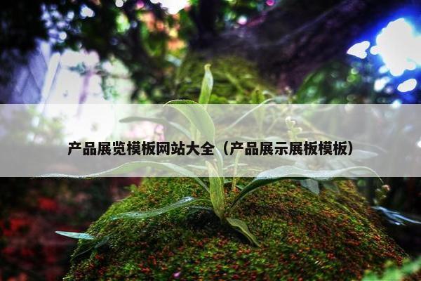 产品展览模板网站大全（产品展示展板模板）
