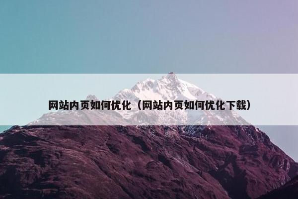 网站内页如何优化（网站内页如何优化下载）