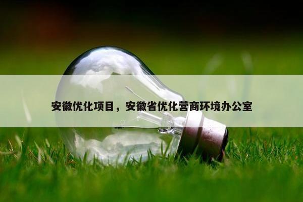 安徽优化项目，安徽省优化营商环境办公室