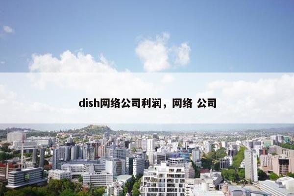 dish网络公司利润，网络 公司