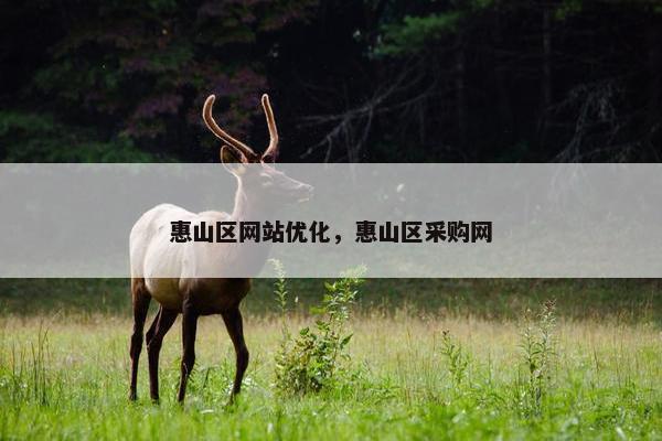 惠山区网站优化，惠山区采购网