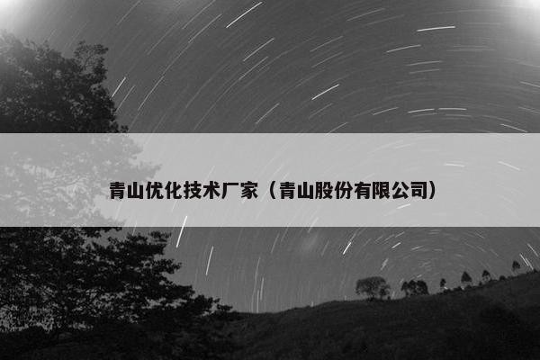青山优化技术厂家（青山股份有限公司）