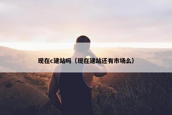 现在c建站吗（现在建站还有市场么）