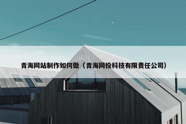 青海网站制作如何做（青海网投科技有限责任公司）