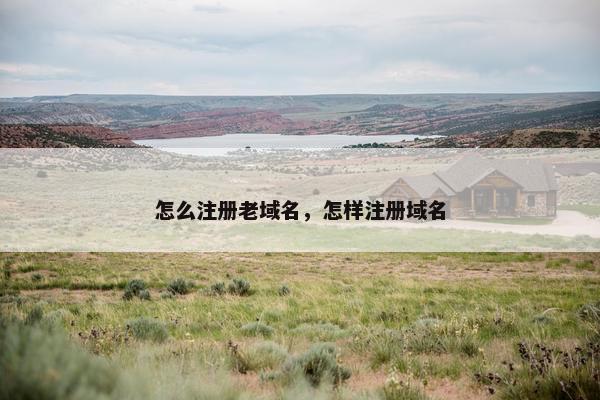 怎么注册老域名，怎样注册域名