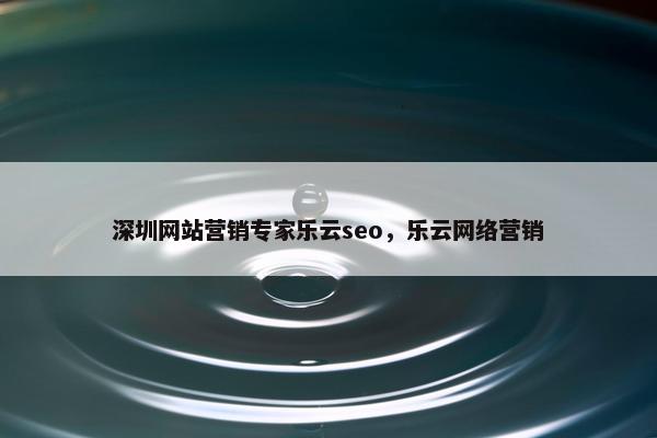 深圳网站营销专家乐云seo，乐云网络营销