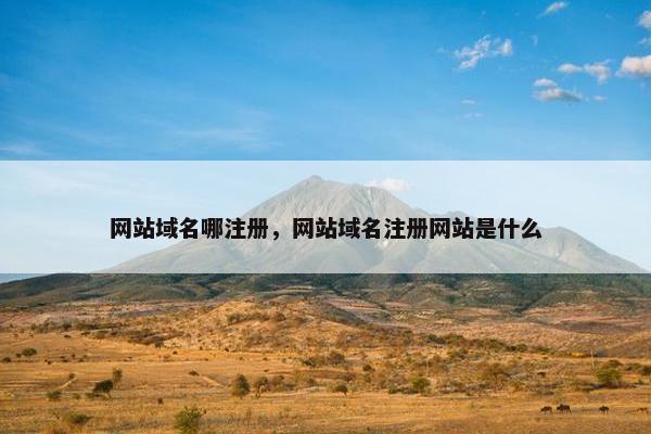 网站域名哪注册，网站域名注册网站是什么