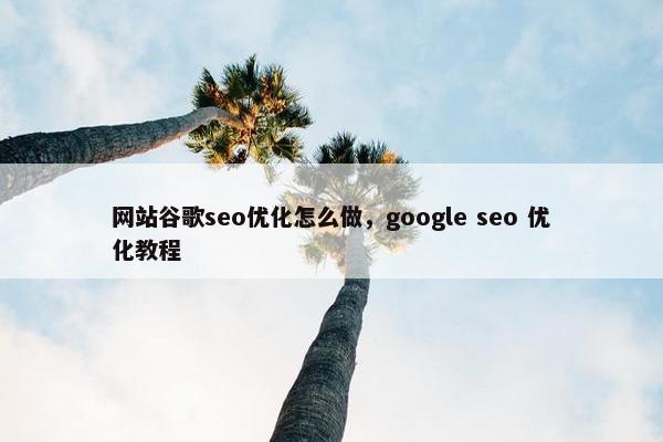 网站谷歌seo优化怎么做，google seo 优化教程