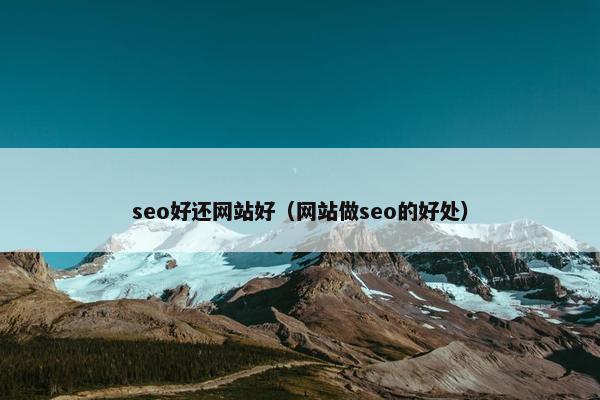 seo好还网站好（网站做seo的好处）