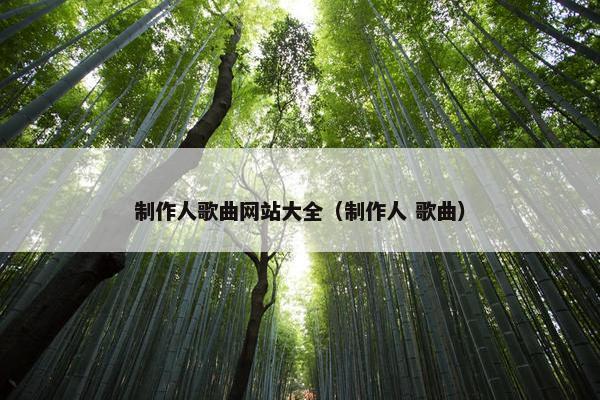 制作人歌曲网站大全（制作人 歌曲）