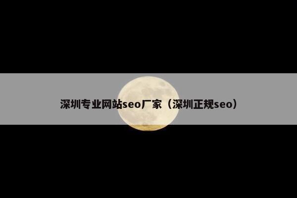 深圳专业网站seo厂家（深圳正规seo）