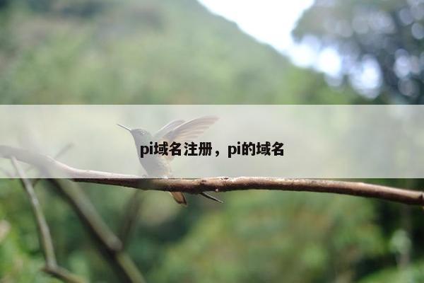 pi域名注册，pi的域名
