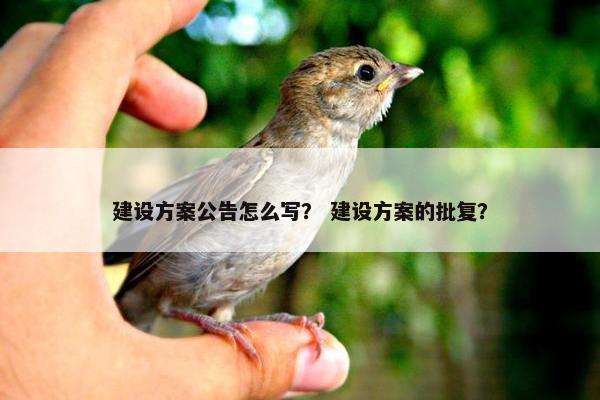 建设方案公告怎么写？ 建设方案的批复？