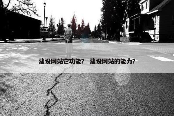 建设网站它功能？ 建设网站的能力？