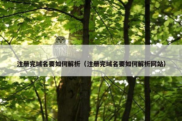注册完域名要如何解析（注册完域名要如何解析网站）