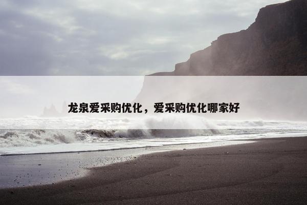 龙泉爱采购优化，爱采购优化哪家好
