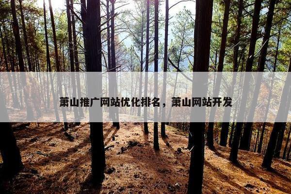 萧山推广网站优化排名，萧山网站开发