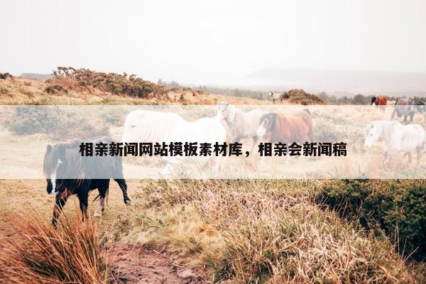 相亲新闻网站模板素材库，相亲会新闻稿