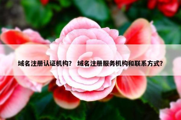 域名注册认证机构？ 域名注册服务机构和联系方式？