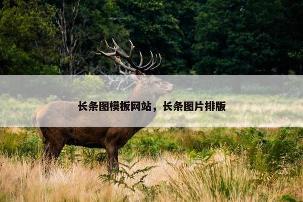 长条图模板网站，长条图片排版