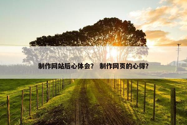 制作网站后心体会？ 制作网页的心得？