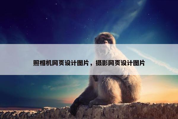 照相机网页设计图片，摄影网页设计图片