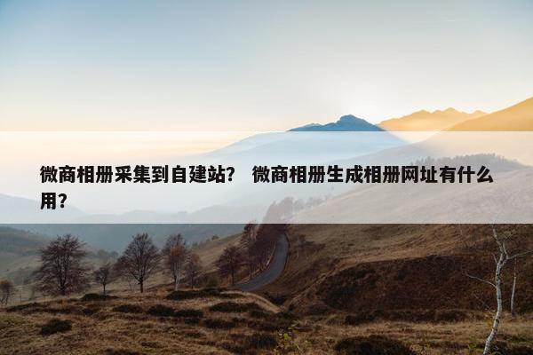 微商相册采集到自建站？ 微商相册生成相册网址有什么用？