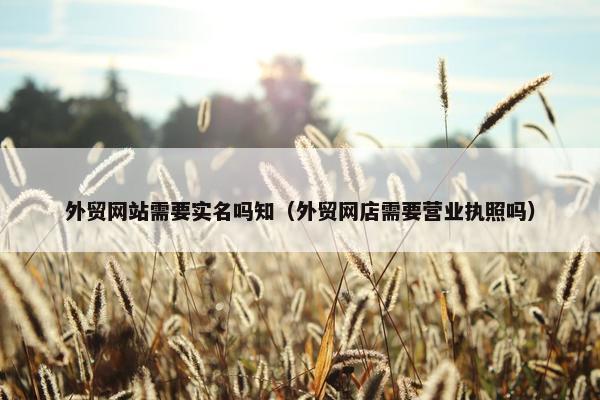 外贸网站需要实名吗知（外贸网店需要营业执照吗）