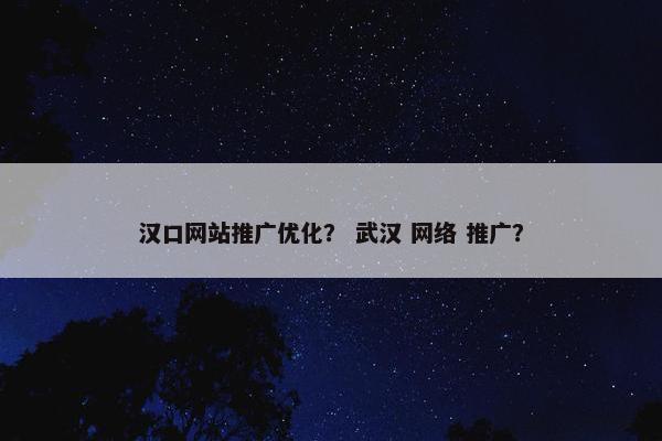 汉口网站推广优化？ 武汉 网络 推广？