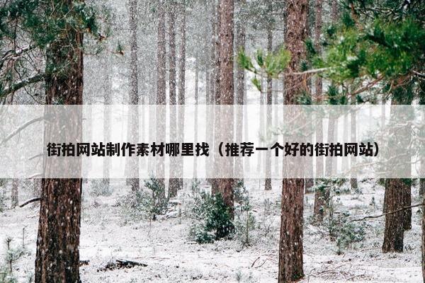 街拍网站制作素材哪里找（推荐一个好的街拍网站）